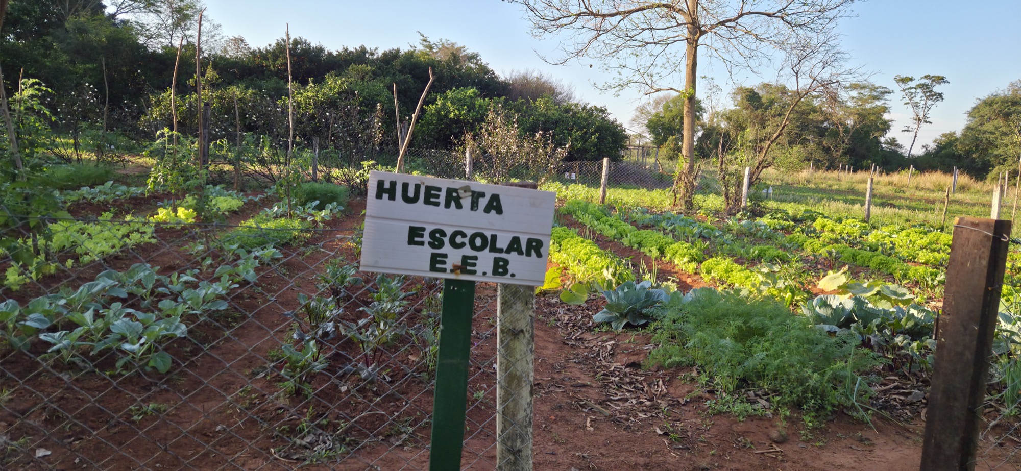 Visita de Jesuiten weltweit — Colegio Kamba Rembe, San Pedro