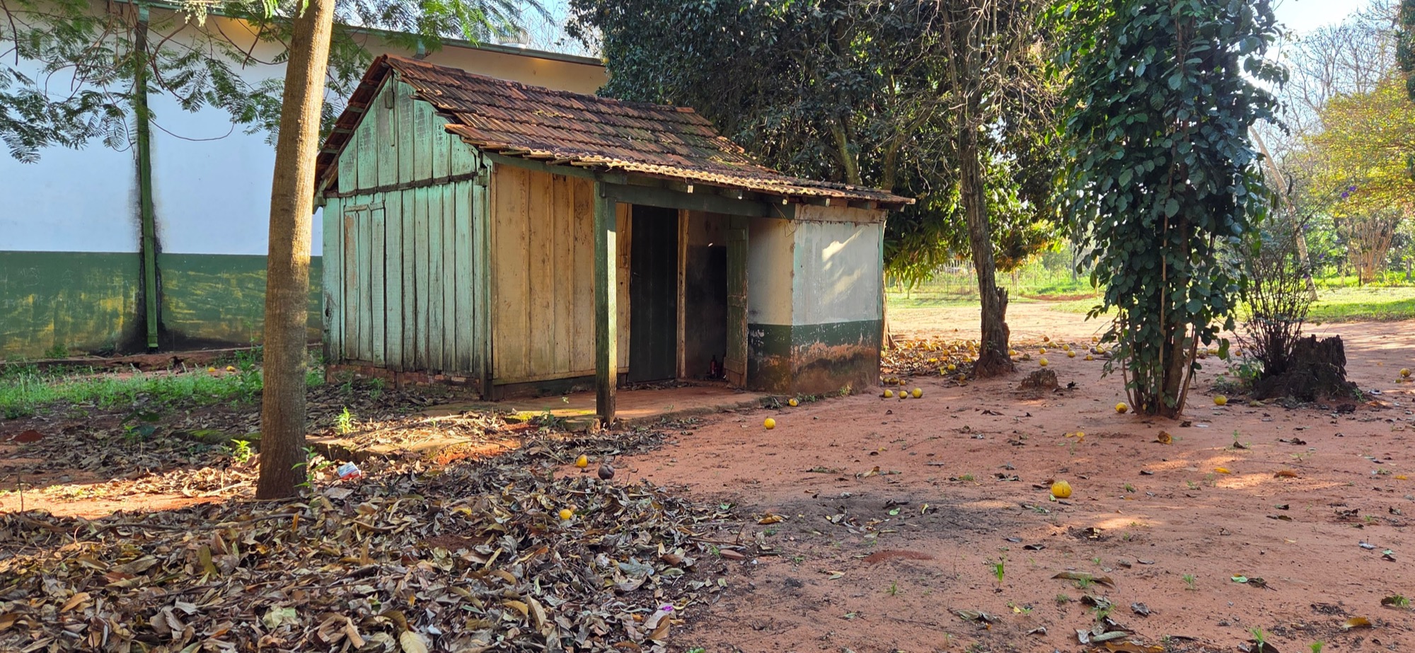 Visita de Jesuiten weltweit — Colegio Kamba Rembe, San Pedro